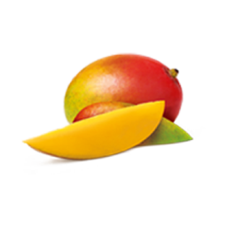 cantaloupe